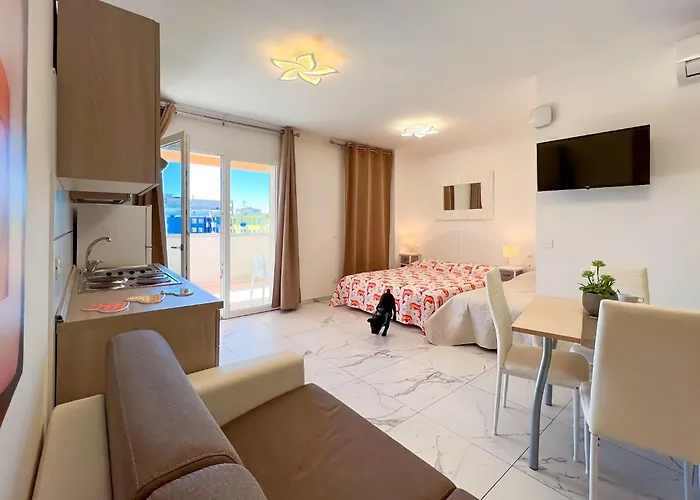 New Vibrant In Appartement